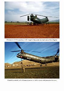 610 VERTOL H-21C BANANE VOLANTE 3-5 (3)